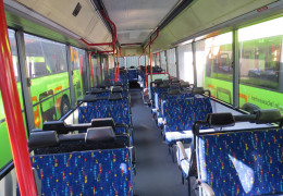 Partybus (40 zitplaatsen ook staanplaatsen mogelijk)