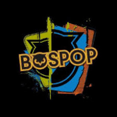 Bospop (zondag)